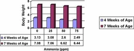 Legacy chart comparing bird weight and ammonia levels
