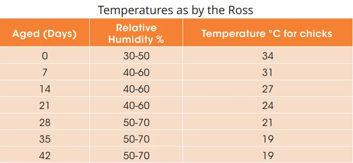 Legacy Ross broiler temperature-by-age reference table