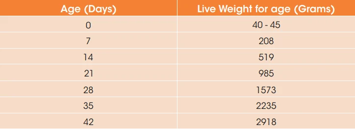 Legacy broiler age and target live-weight reference table